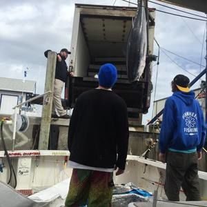 Meet your Posher, Tyler